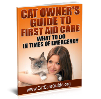 Cat Owners Guide