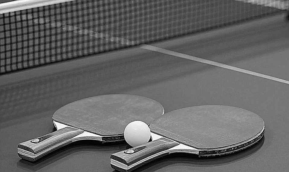 Belgium Open 2026: Hai chức vô địch U21 của Bồ Đào Nha và khoảng cách không ai đo Belgium Open 2026: Hai chức vô địch U21 của Bồ Đào Nha và khoảng cách không ai đo